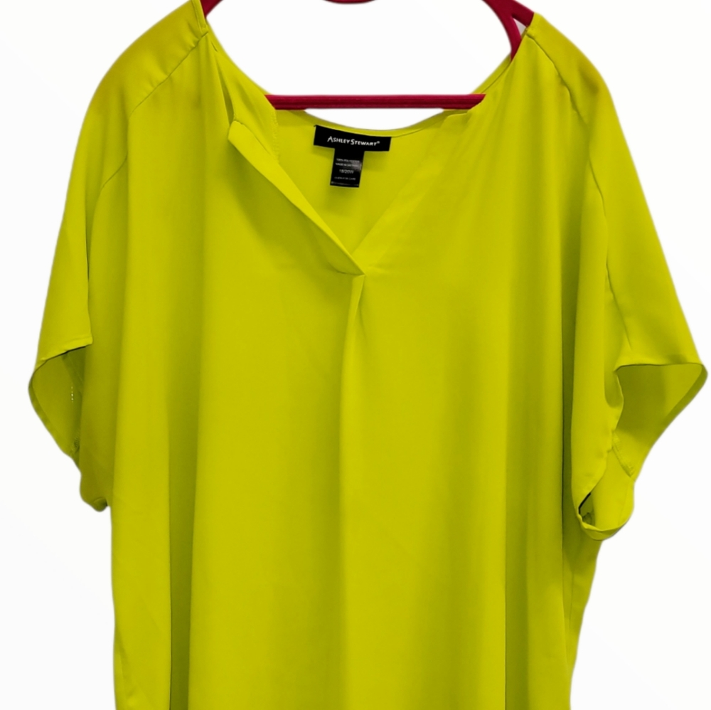 Ashley Stewart Tunic Blouse